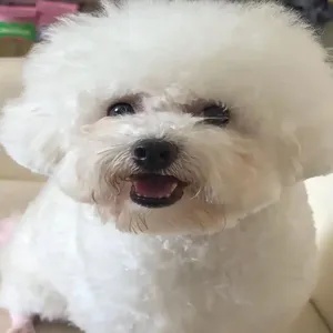 图片2
